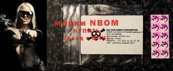 молекула духа Вязьма