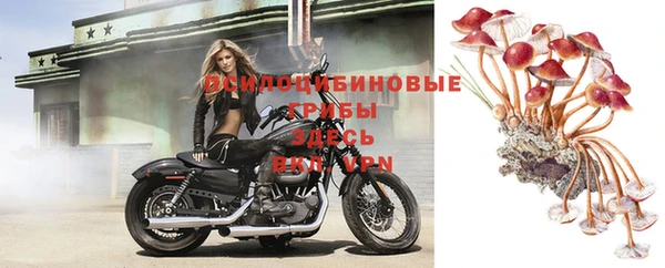 прущая мука Сосновый Бор
