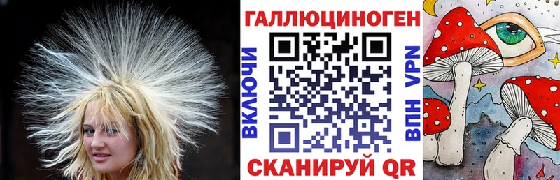Псилоцибиновые грибы Psilocybe  Донской 